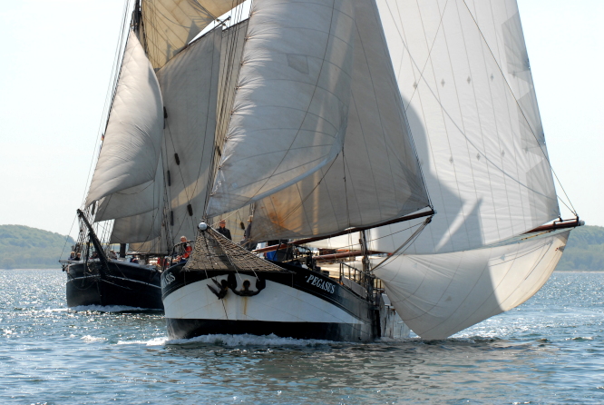 Flensburger Förde; Flensburg Fjord Regatta; Rivierklipper PEGASUS und Jagtskonnert MARTHA; 2023-05-19; © Andreas Zedler